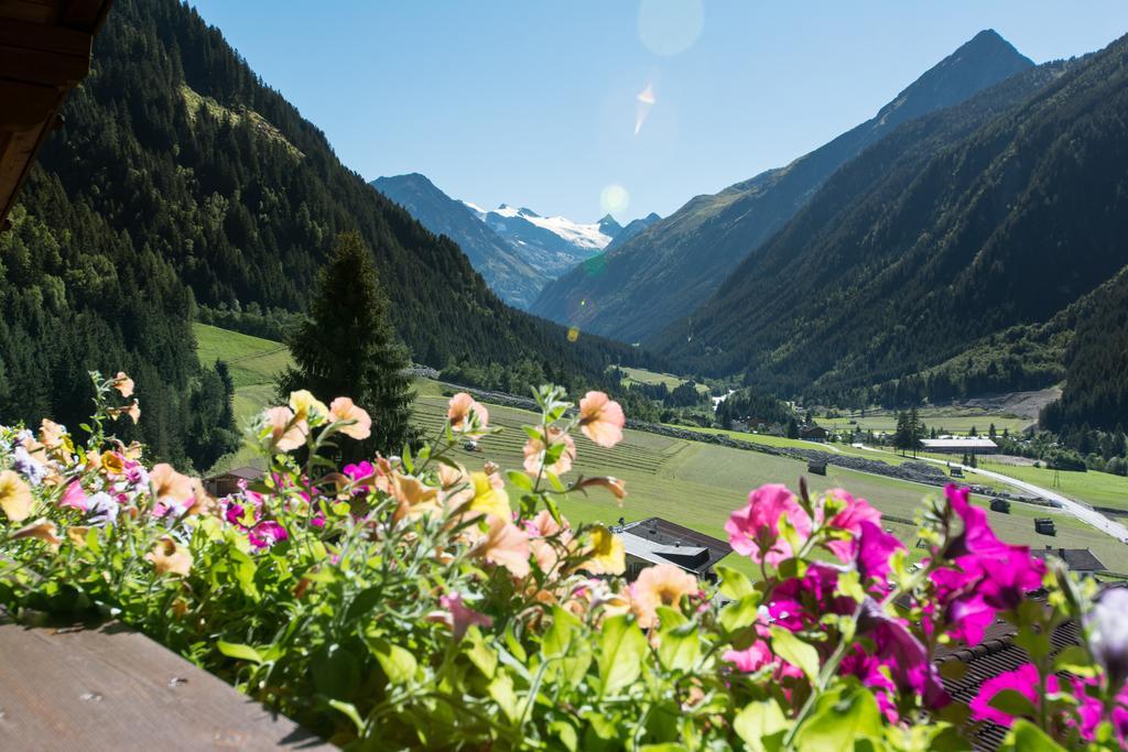 Haus Mary Leilighet Neustift im Stubaital Eksteriør bilde